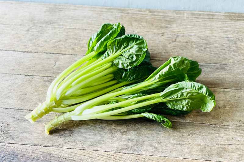 Tatsoi 