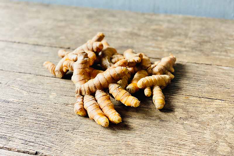 Organic Turmeric