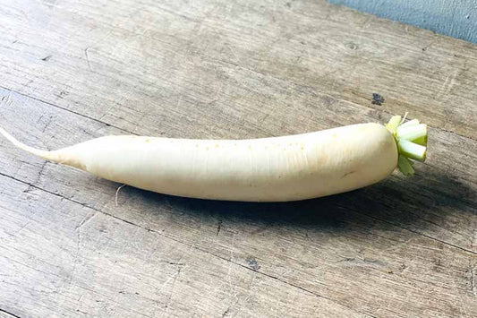 White Daikon