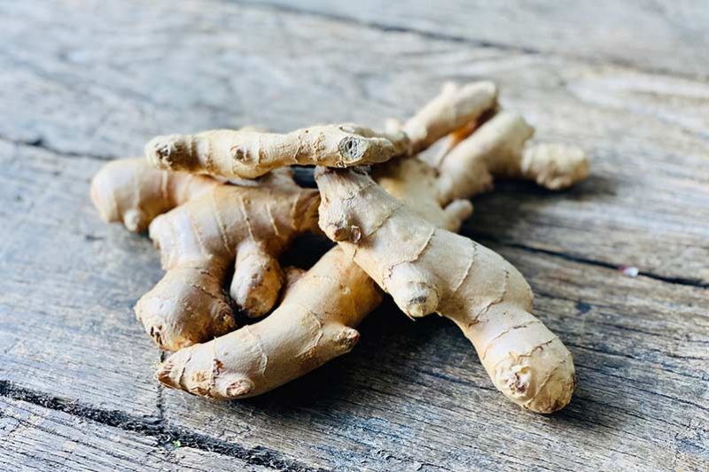 White Ginger (Wholesale)