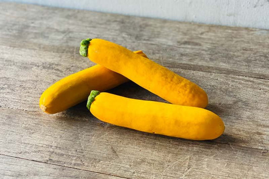 Golden Zucchini