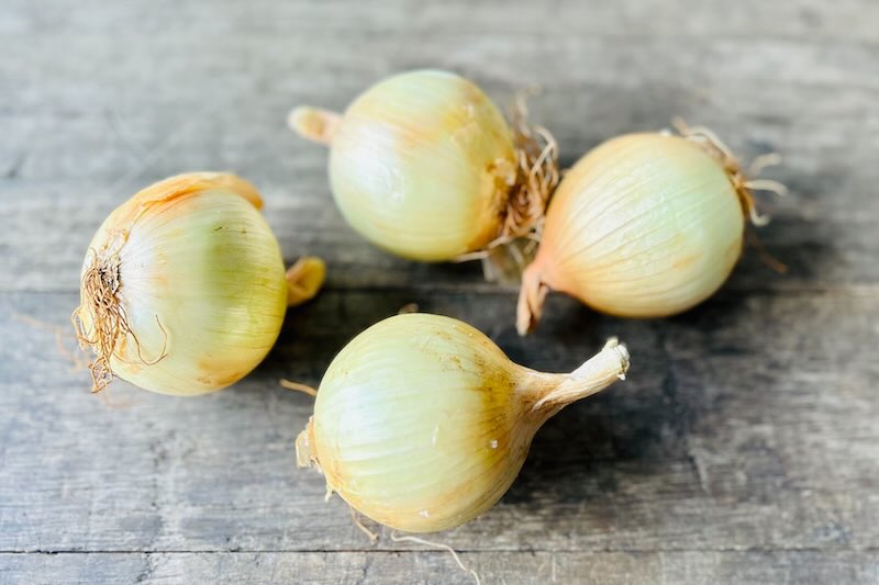 Kula Sweet Onion (Wholesale)