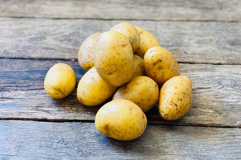 Yellow Potato