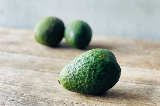 Green Gold Avocado