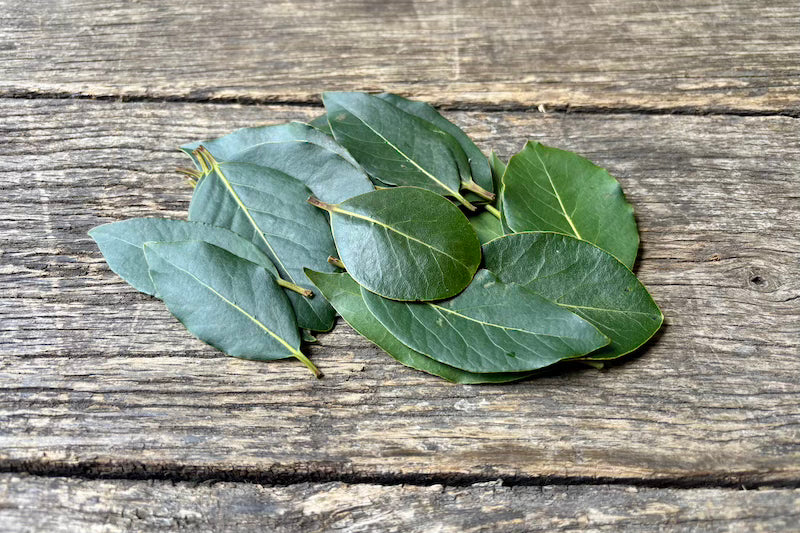 Bay Leaf