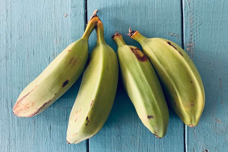 Organic Burro Banana