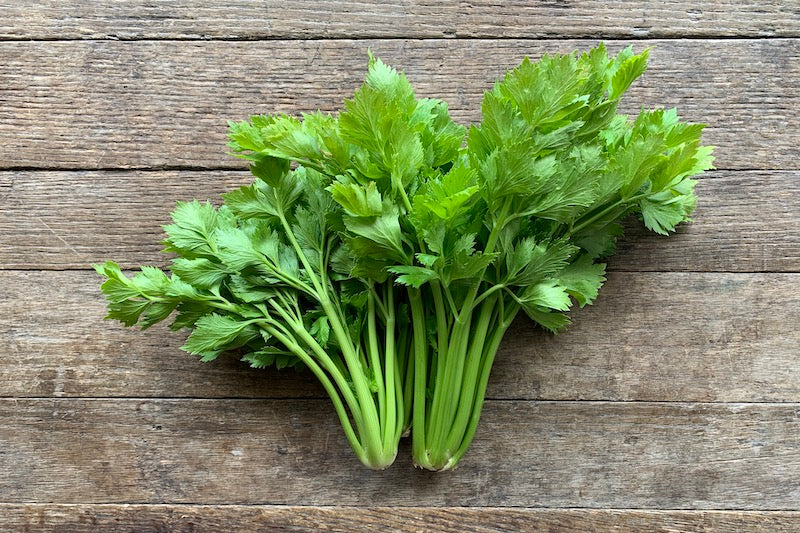 Organic Celery (Wholesale)