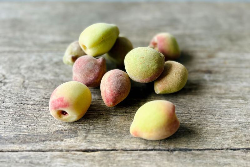 Ceylon Peach