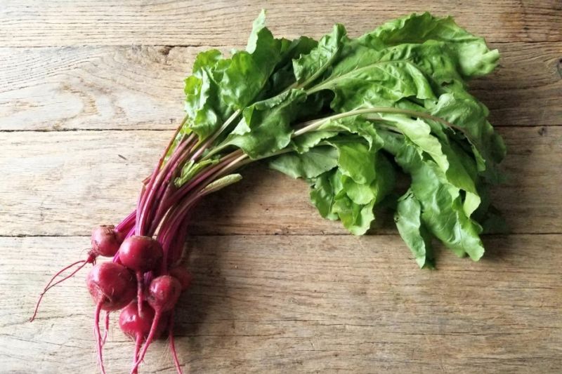 Organic Chioggia Beet With Tops