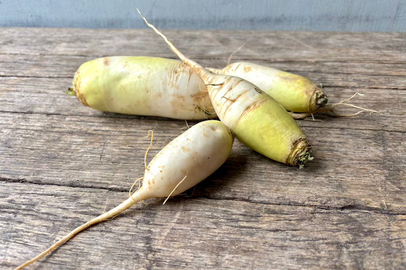 White Daikon
