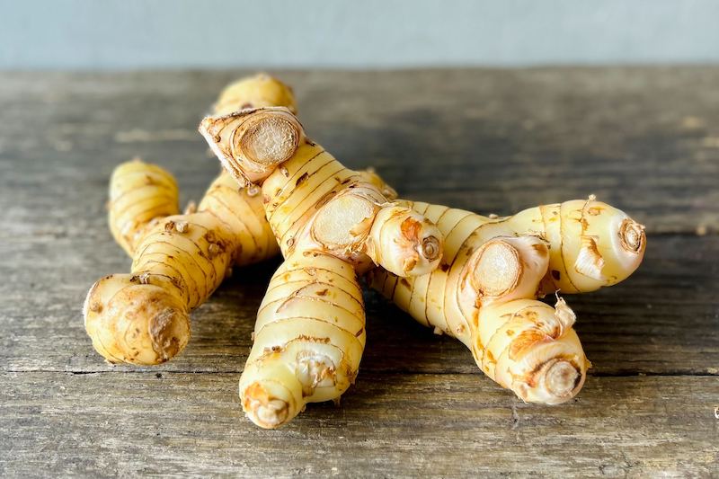 Galangal