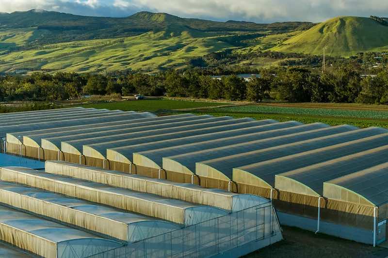 Hi Farming Hawaii Farming – Farm Link Hawaiʻi