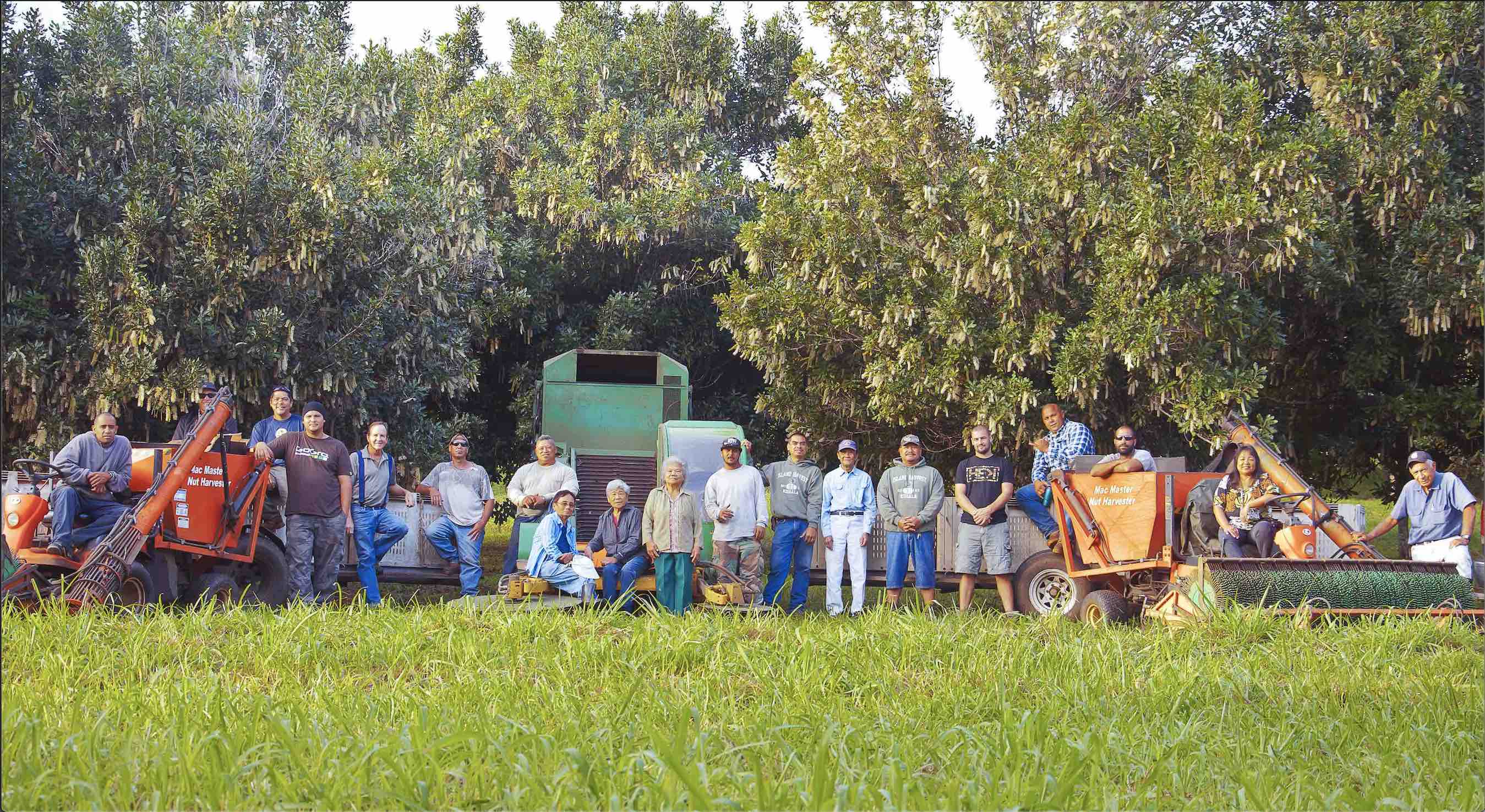 Island Harvest