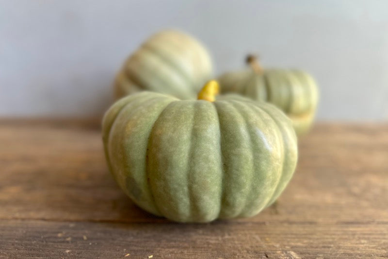 Jarrahdale Pumpkin