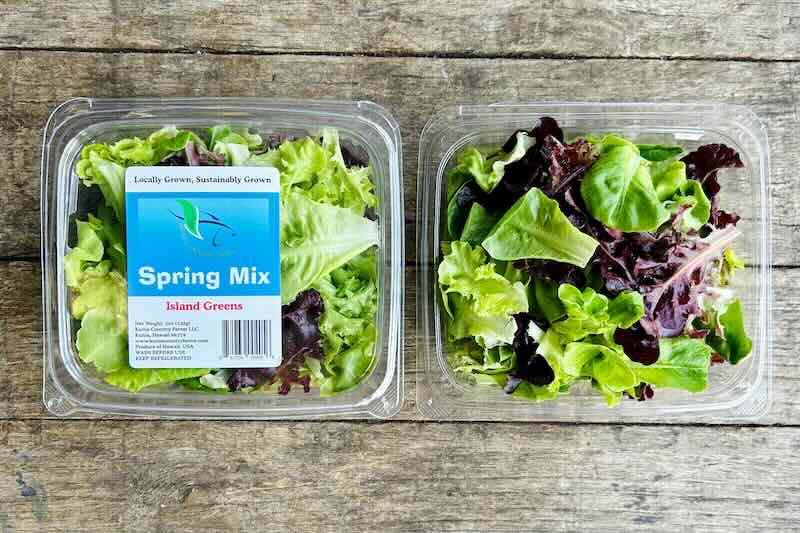 Spring Salad Mix