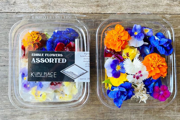 専用＊ミニミニタッセル❁ハワイアンカラー❁フラワーコンチョ付き Assorted Edible Flowers Mix – Farm Link Hawaiʻi