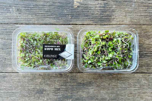 Kupu Mix Microgreen