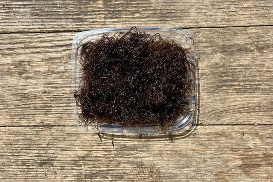 Fresh Limu (Ogo)