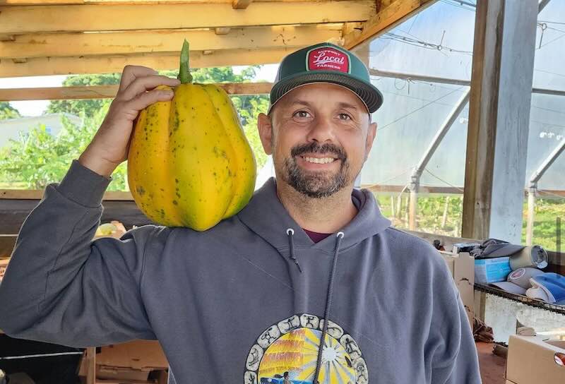 Maui Grown Tomatoes