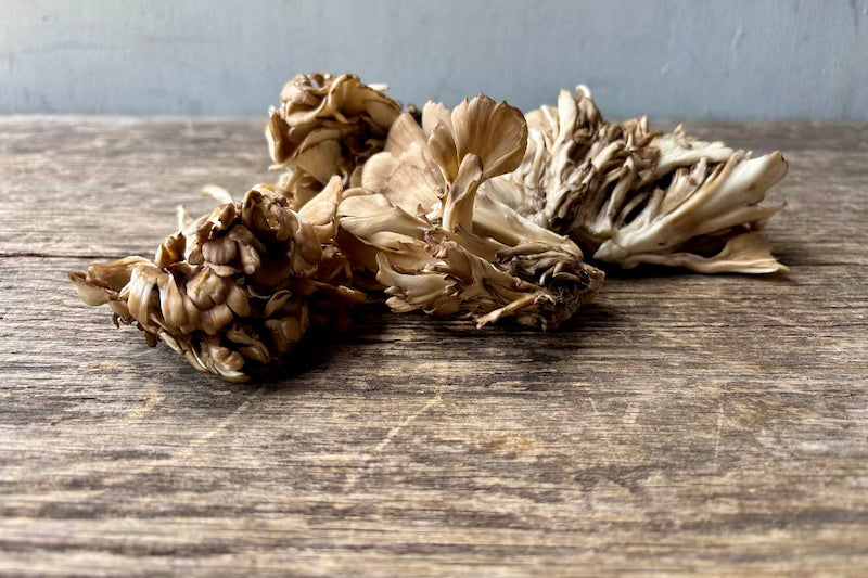 Maitake Mushroom