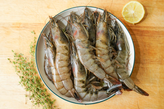 Molokai Shrimp