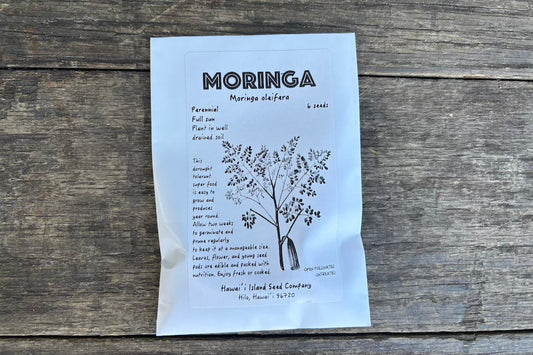 Moringa Seeds