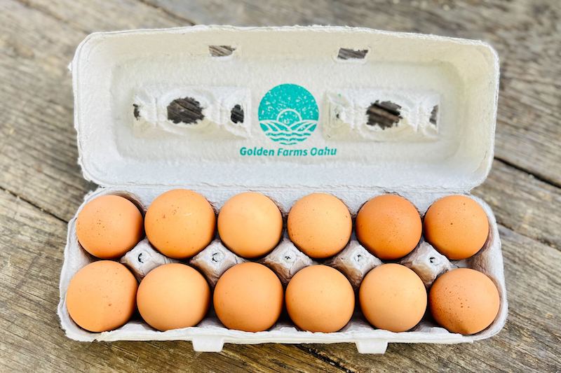 Cage-Free Chicken Eggs