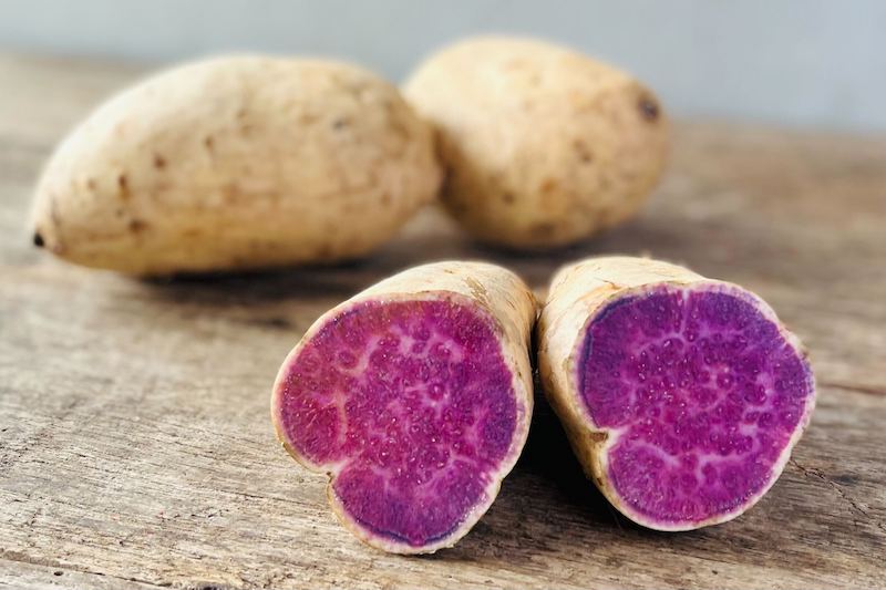 Okinawan Sweet Potato