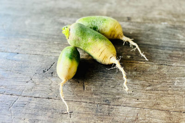 organic_20green_20daikon_grand