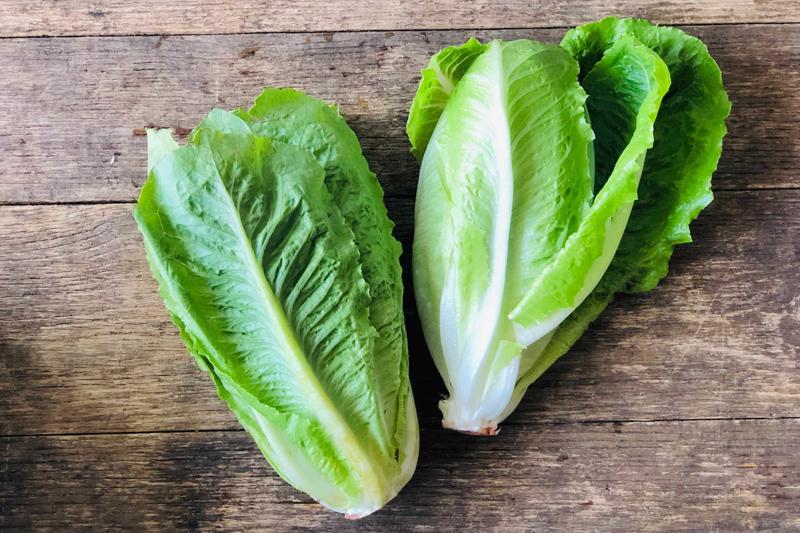 Organic Romaine Lettuce