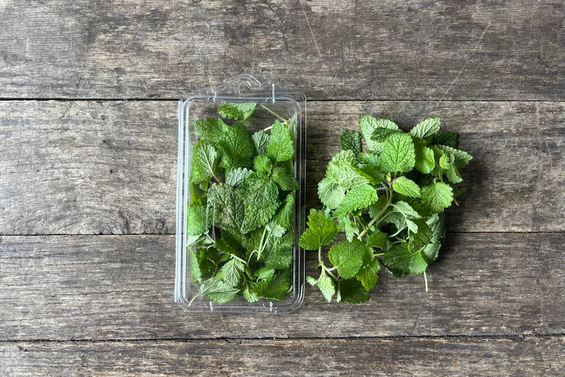 Organic Lemon Balm