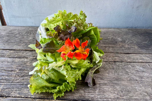 Organic Salad Mix