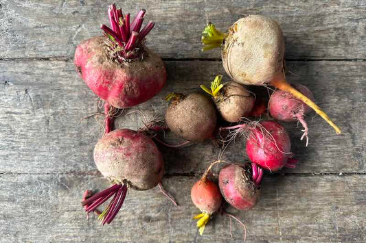 Organic Beet Medley