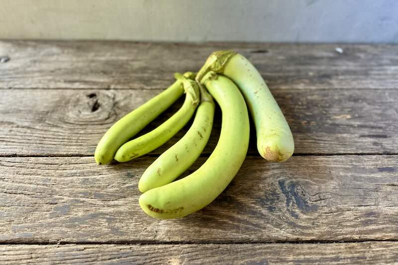 Organic Green Long Eggplant