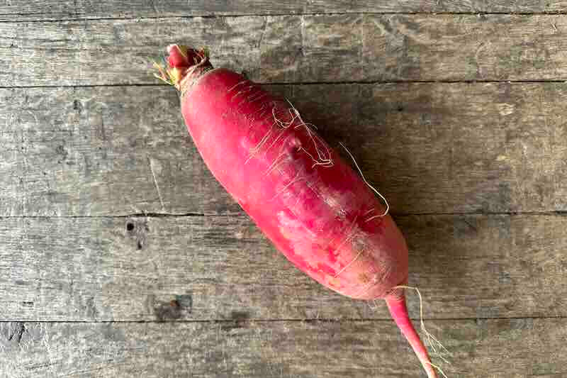 Organic Red Daikon
