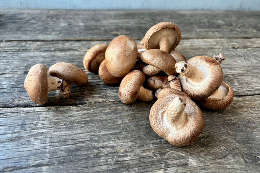 Shiitake Mushroom