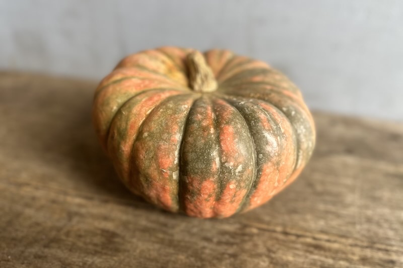 Speckled Hound Pumpkin