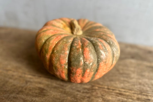 Speckled Hound Pumpkin