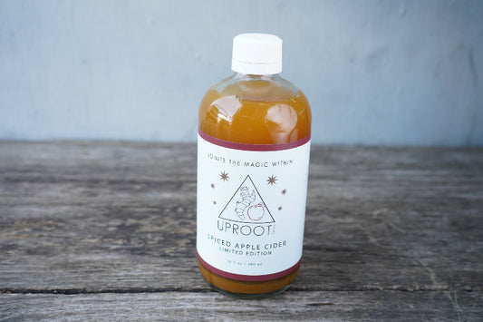Spiced Apple Cider Elixir