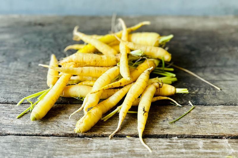 Organic White Carrot