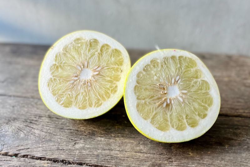 Organic White Pomelo