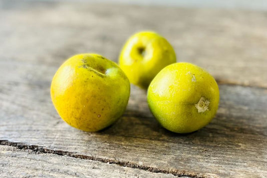 Organic White Sapote